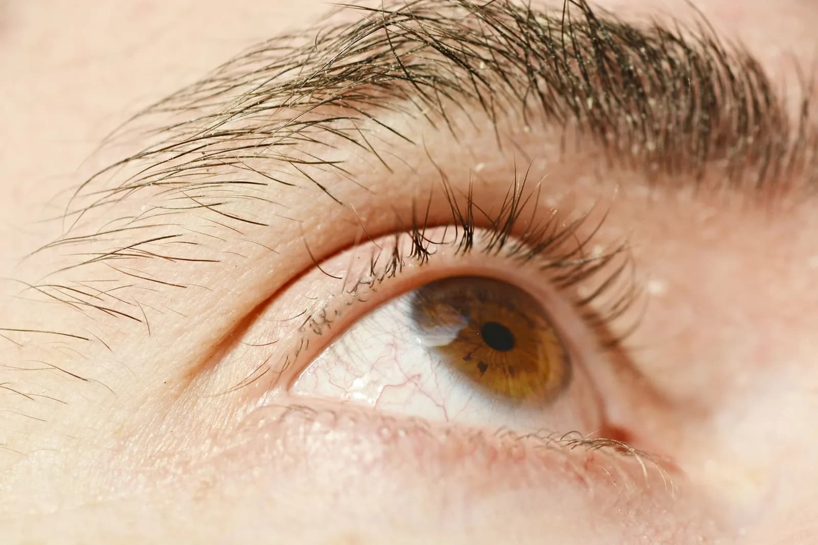 Acercamiento de un ojo y su superficie